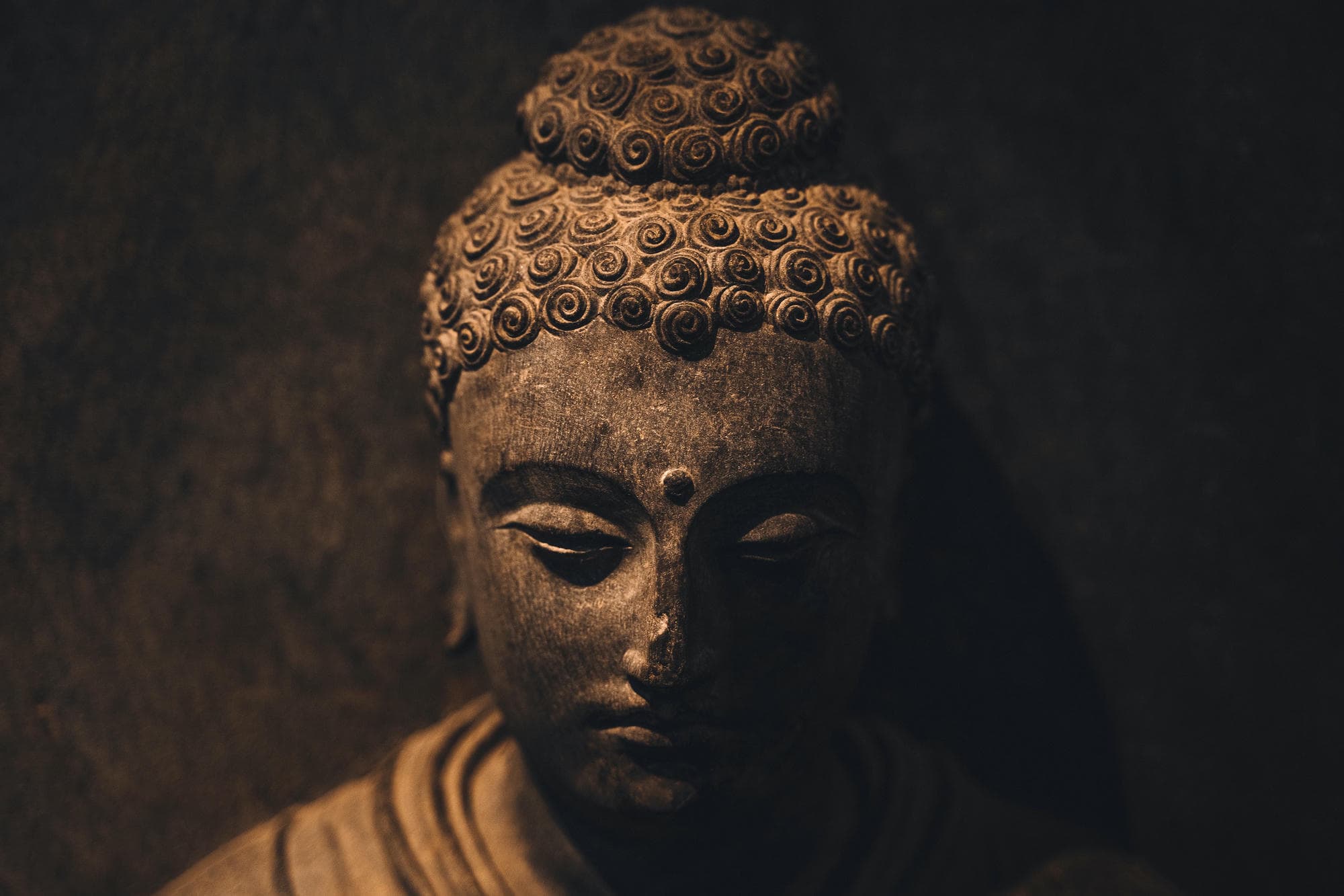 photo of a buddha statue